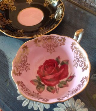 Rare PARAGON Pink Black CABBAGE Red ROSE TEA CUP and SAUCER artist signed teacup 2