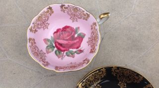 Rare PARAGON Pink Black CABBAGE Red ROSE TEA CUP and SAUCER artist signed teacup 4