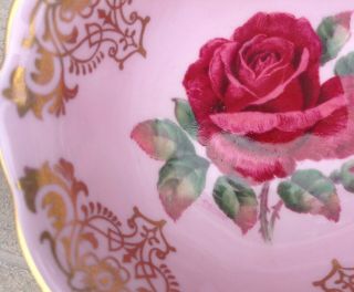Rare PARAGON Pink Black CABBAGE Red ROSE TEA CUP and SAUCER artist signed teacup 5