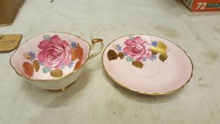 Rare Paragon Dark Pink Cabbage Rose Tea Cup & Saucer Background Gold Leaves Leaf