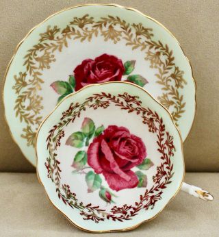 Rare Paragon Red Cabbage Rose Tea Cup & Saucer With Gold Spectacular