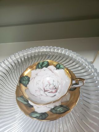 Paragon Teacup And Saucer With Large White Cabbage Rose On Teacup And Saucer
