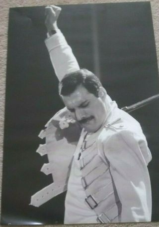 Freddie Mercury Pictures x 2 2