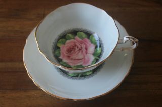 Paragon Large Cabbage Pink Rose Black Light Blue Gold Teacup Tea Cup Saucer