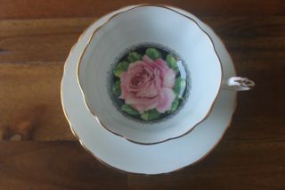 Paragon Large Cabbage Pink Rose Black Light Blue Gold Teacup Tea Cup Saucer 2