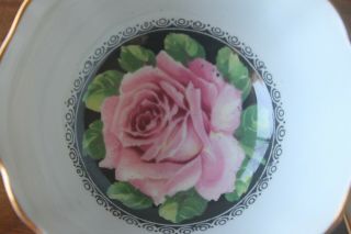 Paragon Large Cabbage Pink Rose Black Light Blue Gold Teacup Tea Cup Saucer 4