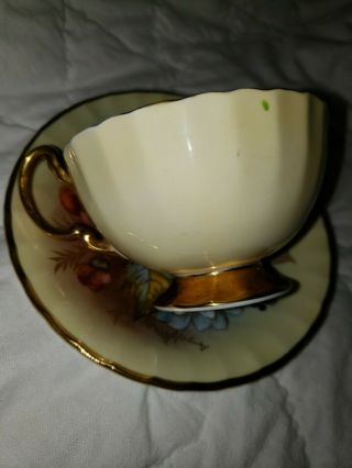 SPECTACULAR Aynsley Cabbage Rose Teacup/Saucer Signed J A Bailey - CREAM YELLOW 5