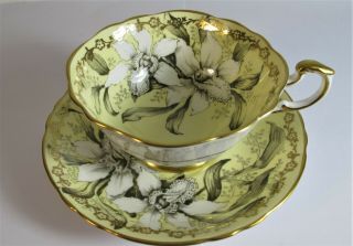 Rare Paragon Double Warrant White Orchid Yellow Tea Cup & Saucer Gold Flowers