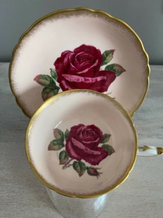 Paragon Tea Cup & Saucer Pink Large Red Cabbage Rose Signed R.  Johnson