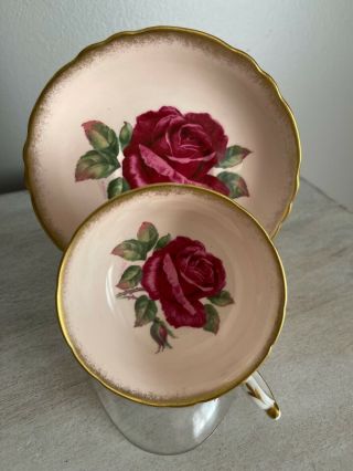 PARAGON TEA CUP & SAUCER PINK LARGE RED CABBAGE ROSE SIGNED R.  JOHNSON 2