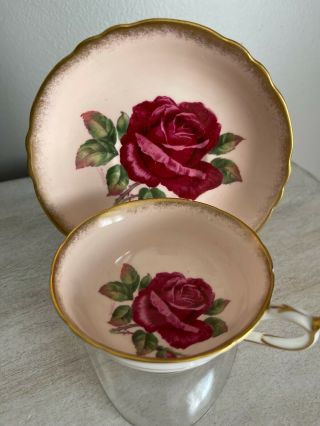 PARAGON TEA CUP & SAUCER PINK LARGE RED CABBAGE ROSE SIGNED R.  JOHNSON 3