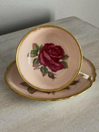 PARAGON TEA CUP & SAUCER PINK LARGE RED CABBAGE ROSE SIGNED R.  JOHNSON 4