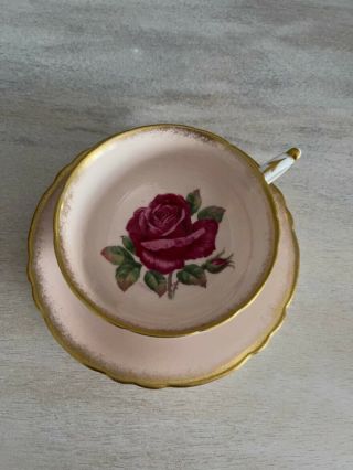 PARAGON TEA CUP & SAUCER PINK LARGE RED CABBAGE ROSE SIGNED R.  JOHNSON 5