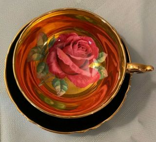 Rare Paragon Cup And Saucer Large Rose With Gold