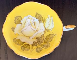 Paragon English Bone China White Cabbage Rose On Yellow Tea Cup No Saucer