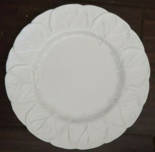 Coalport Bone China Countryware White Cabbage Set Of 6 Dinner Plates