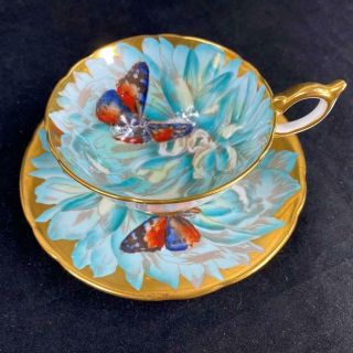 Stunning - Aynsley Chrysanthemum Butterfly Heavy Gold Cup Saucer C974/1