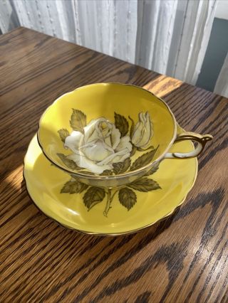 Paragon English Bone China White Cabbage Rose On Yellow Tea Cup & Saucer