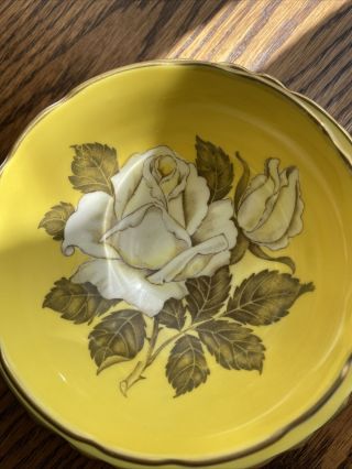 Paragon English Bone China White Cabbage Rose On Yellow Tea Cup & Saucer 2