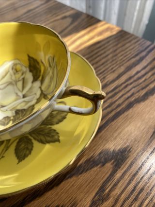 Paragon English Bone China White Cabbage Rose On Yellow Tea Cup & Saucer 3