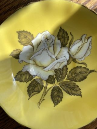 Paragon English Bone China White Cabbage Rose On Yellow Tea Cup & Saucer 4