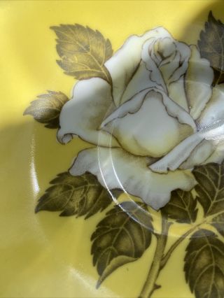 Paragon English Bone China White Cabbage Rose On Yellow Tea Cup & Saucer 5