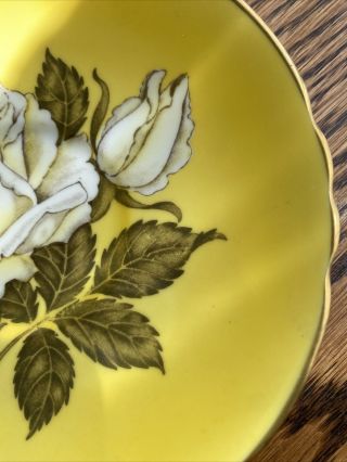 Paragon English Bone China White Cabbage Rose On Yellow Tea Cup & Saucer 6