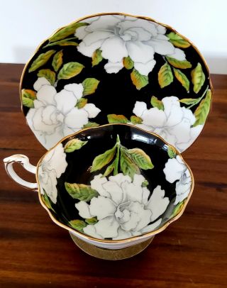 Vintage Paragon Bone China Tea Cup & Saucer White Cabbage Rose On Black W/ Gold