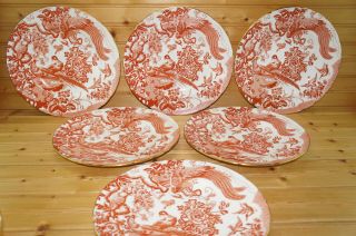 Royal Crown Derby Red Aves (6) Dinner Plates,  10 3/8 " (box 4)