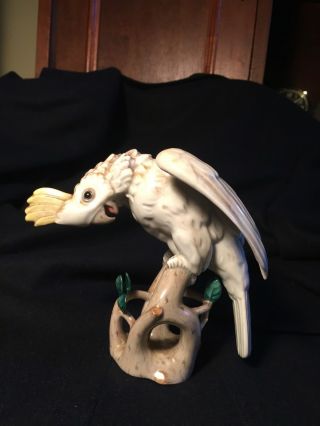 Wien Augarten Cockatoo Figurine porcelain bird Austria head down 2 2