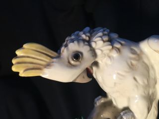 Wien Augarten Cockatoo Figurine porcelain bird Austria head down 2 3
