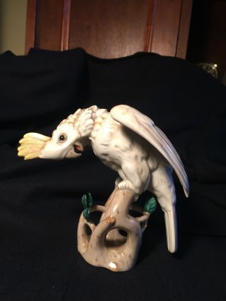Wien Augarten Cockatoo Figurine porcelain bird Austria head down 2 4