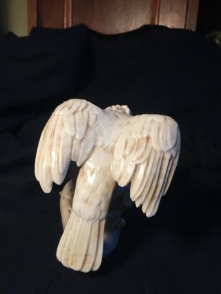 Wien Augarten Cockatoo Figurine porcelain bird Austria head down 2 6