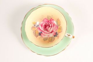 Paragon Pink Cabbage Rose Teacup & Saucer Set Double Warrant Yellow Green 1940s