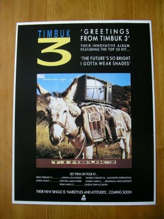 Timbuk 3 - Greetings From - Advert - 21 X 28cm.