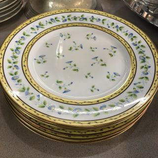 5 A.  Raynaud Ceralene Limoges Morning Glory Sevres Pattern Dinner Plates 10 3/4 "