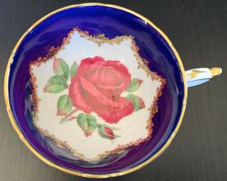 Fancy Paragon Tea Cup With Cobalt Blue,  Gold Filigree & Large Floating Red Rose