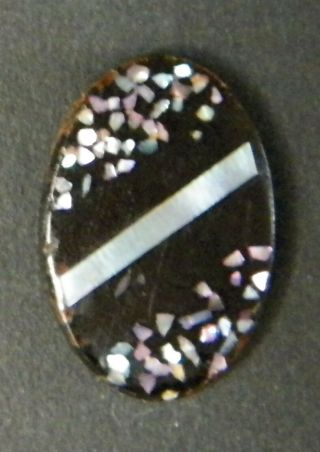 Bb Green Snail Mother Of Pearl Chips Inlay In Bos Taurus Cow Horn Antique Button