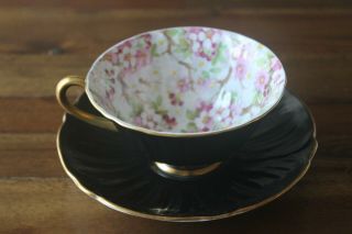 Shelley Maytime Chintz Black Oleander Gold Teacup Tea Cup Saucer Pink Flowers