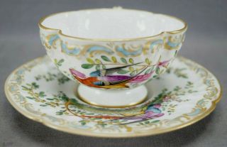 Porcelaine De Paris Hand Painted Chelsea Bird Floral Gold Quatrefoil Tea Cup D