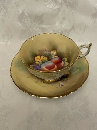 Paragon Orchard Teacup And Saucer Signed F D Hall