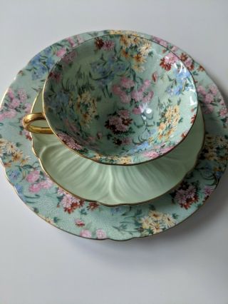 Shelley Melody Chintz Oleander Footed Tea Cup,  Saucer & 8 " Plate Green Gold Trim