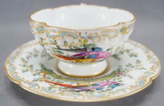 Porcelaine De Paris Hand Painted Chelsea Bird Floral Gold Quatrefoil Tea Cup B