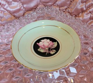Paragon Green Black with Pink Cabbage Rose Footed Tea Cup & Saucer,  A675 2