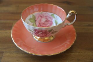 Aynsley Large Cabbage Floating Rose Tea Cup Teacup Saucer Orange Rust Coral Band