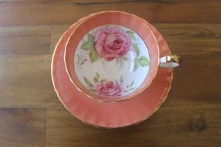 Aynsley Large Cabbage Floating Rose Tea cup Teacup Saucer Orange Rust Coral band 2