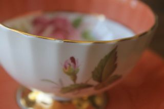 Aynsley Large Cabbage Floating Rose Tea cup Teacup Saucer Orange Rust Coral band 5