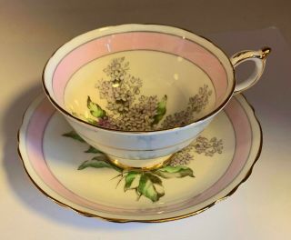 Paragon LILAC Footed Cup & Saucer - Pink Border 2