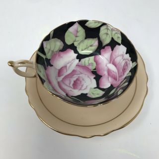 Paragon Beige Black With Pink Cabbage Rose Footed Tea Cup & Saucer A675/5