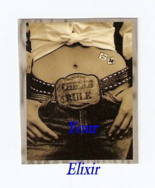Dixie Chicks Chicks Rule Buckle Belly B&w Case Sticker